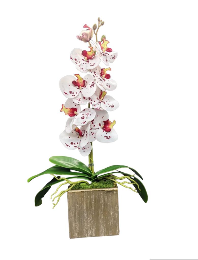Orchids Arrangement in Gold Vase