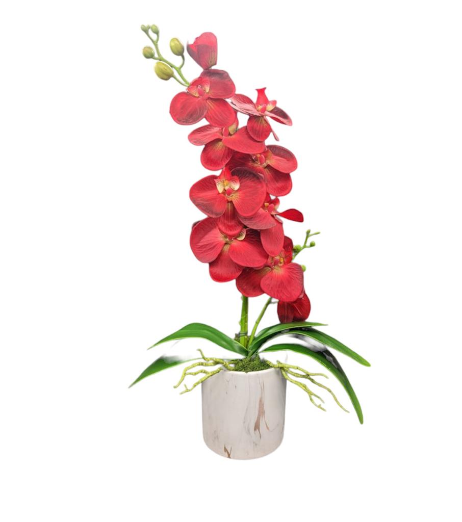 Orchids Arrangement in White Marble Vase