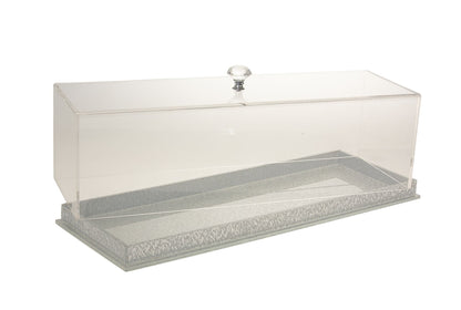 Cake Dome Lucite