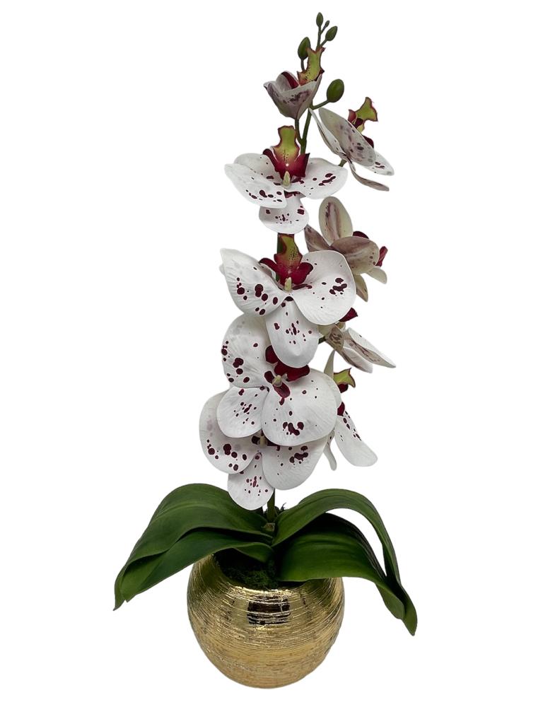Orchids Arrangement in Round Gold Vase
